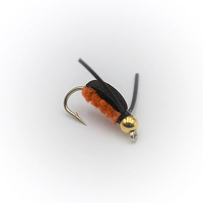 Fly Fishing